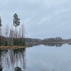 Сергей Пелих - видео и фото