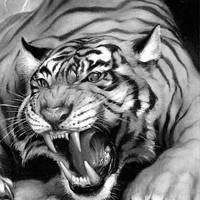 Webmaster White-Tiger - видео и фото