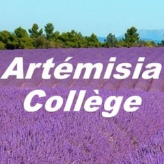 Artémisia Collège - видео и фото