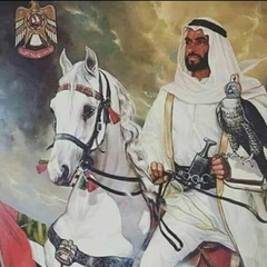 Adel Zayed - видео и фото