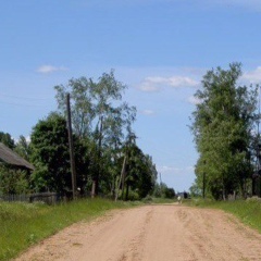 Алексей Царёв - видео и фото